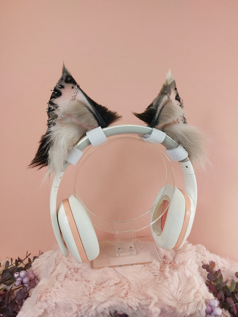 Cat ear headset, headphones